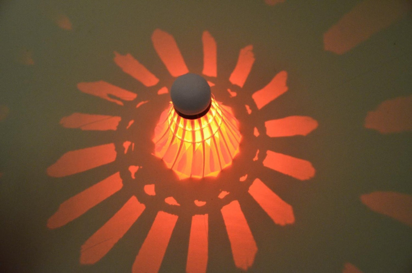 Badminton Shuttlecock Dark Night Glow